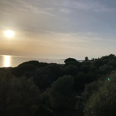 Chez Jean Claude La Villa Des Amis 奥尔梅托 外观 照片